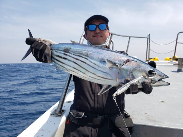 釣果情報-志摩沖にてマグロキャスティングの釣果カツオ