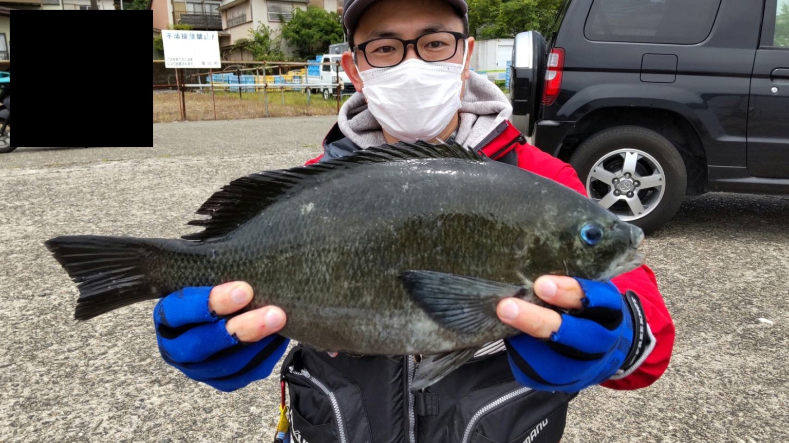 ＜フカセ釣り＞三重県引本浦にある広福丸様での磯釣り | つりチャレ