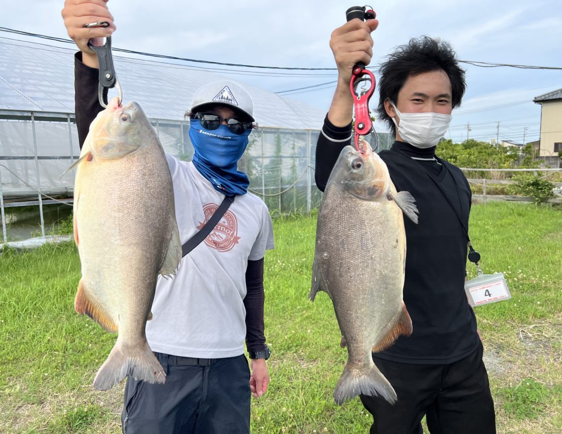 釣果情報-静岡県浜名湖フィッシングリゾートにて釣果コロソマ
