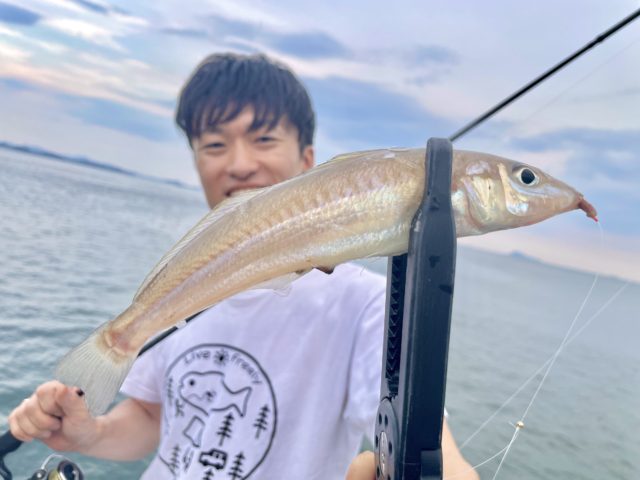 釣果情報-愛知県南知多町の堤防にて投げ釣りの釣果キス