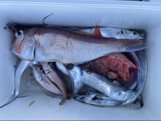 釣果情報-静岡県風神丸にて船釣りの釣果アマダイとタチウオとカサゴ