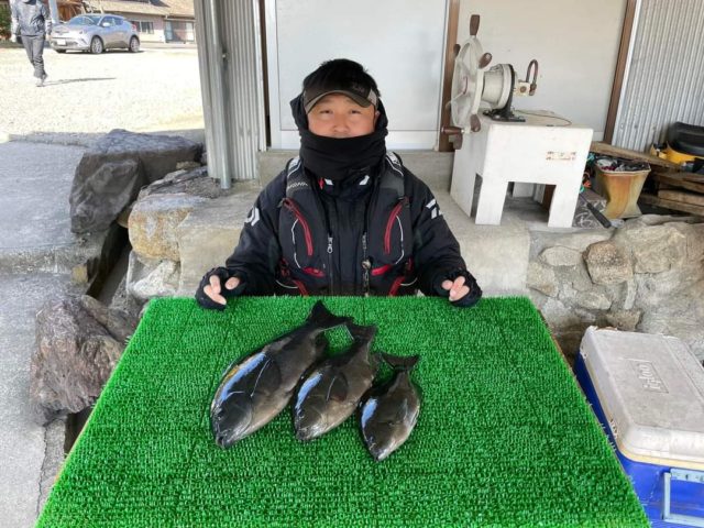 釣果情報-三重県一栄丸渡船にて磯釣りでの釣果グレ