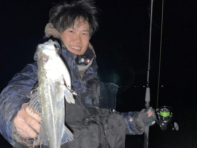 釣果情報-静岡県浜名湖にてショアソルトの釣果シーバス