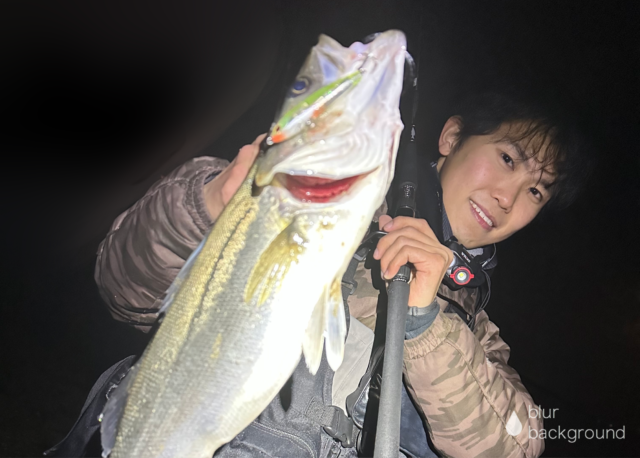 釣果情報-静岡県浜名湖にてショアソルトの釣果シーバス