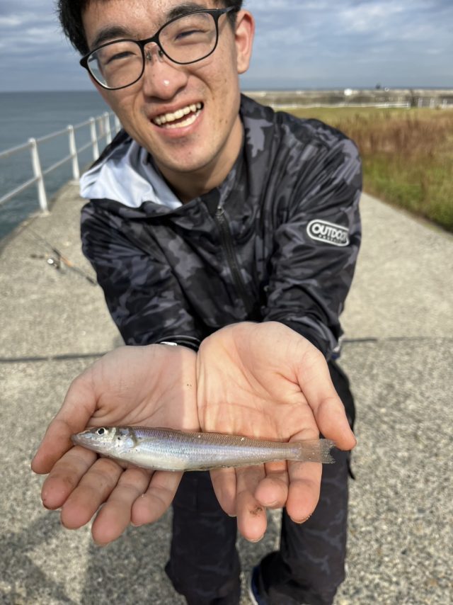 釣果情報-愛知県知多半島にてチョイ投げ釣りの釣果キス