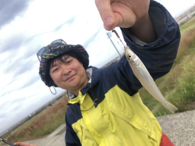 釣果情報-愛知県知多半島にて堤防釣りの釣果キス